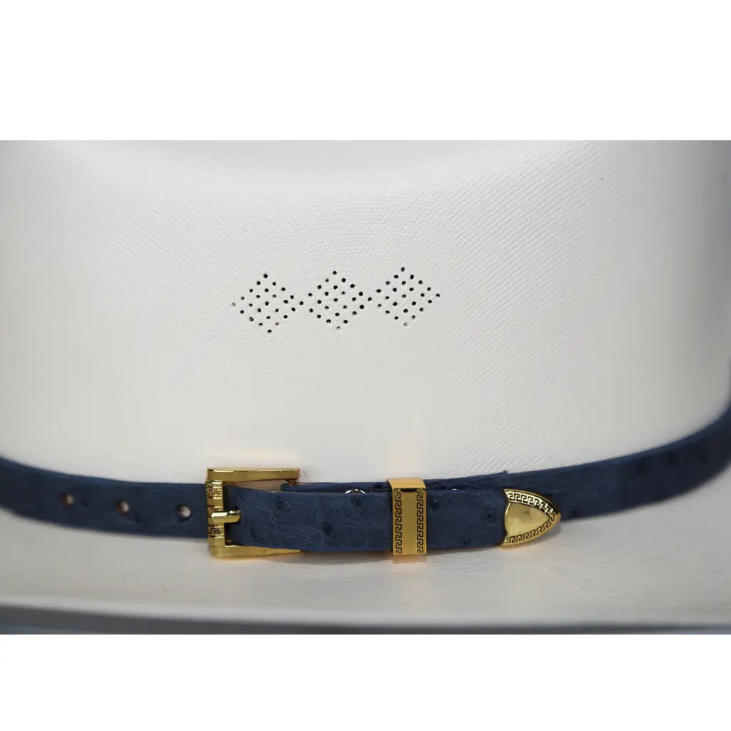Toquillas Exoticas Avestruz / Hat Band Exotic Ostrich