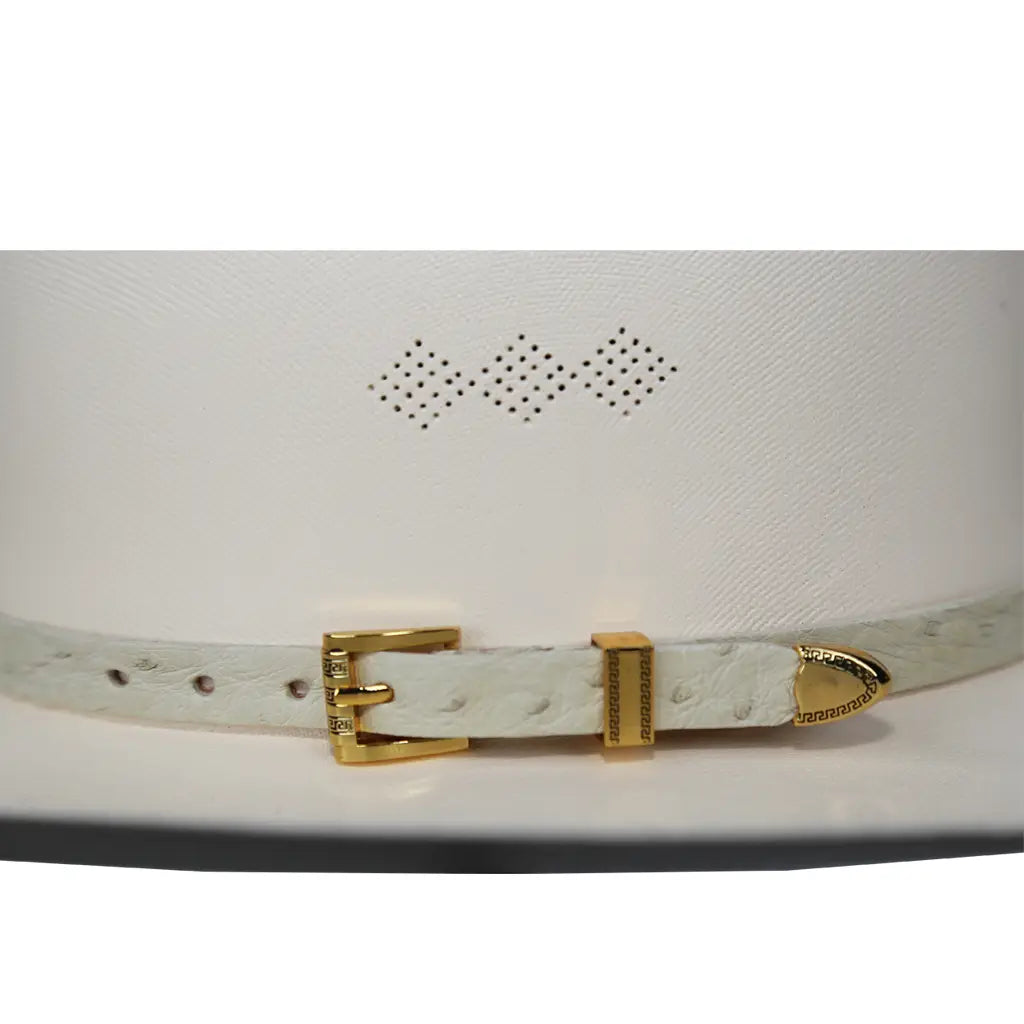 Toquillas Exoticas Avestruz / Hat Band Exotic Ostrich
