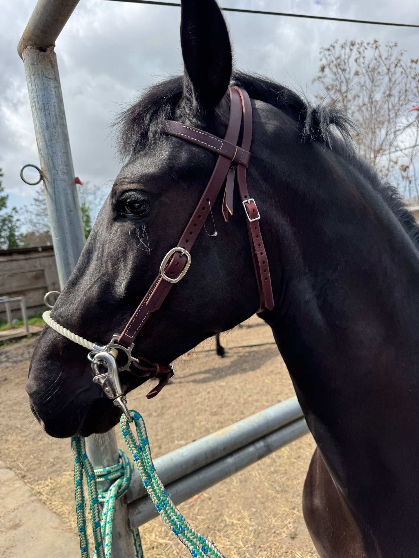 Side Pull de Lujo en Cuero Látigo, con Cuerda Sencilla Flexion