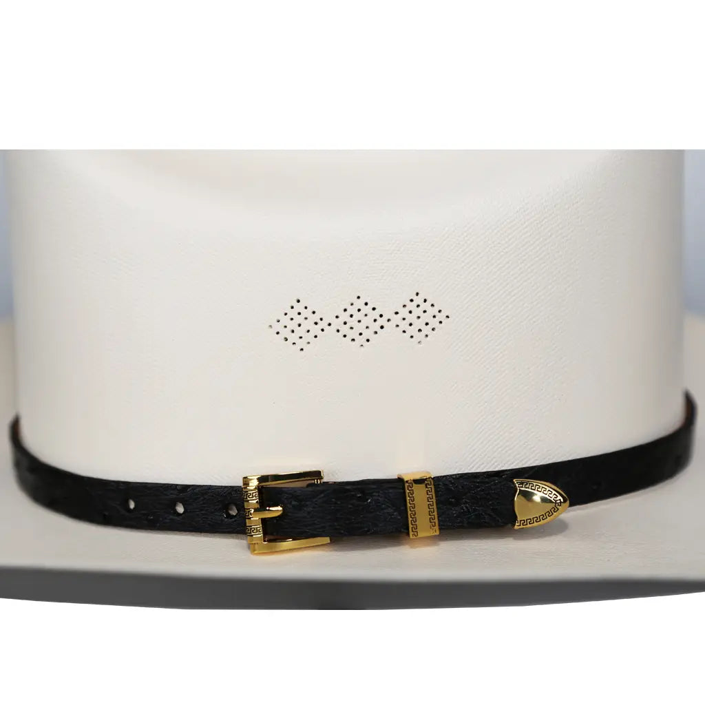 Toquillas Exoticas Avestruz / Hat Band Exotic Ostrich