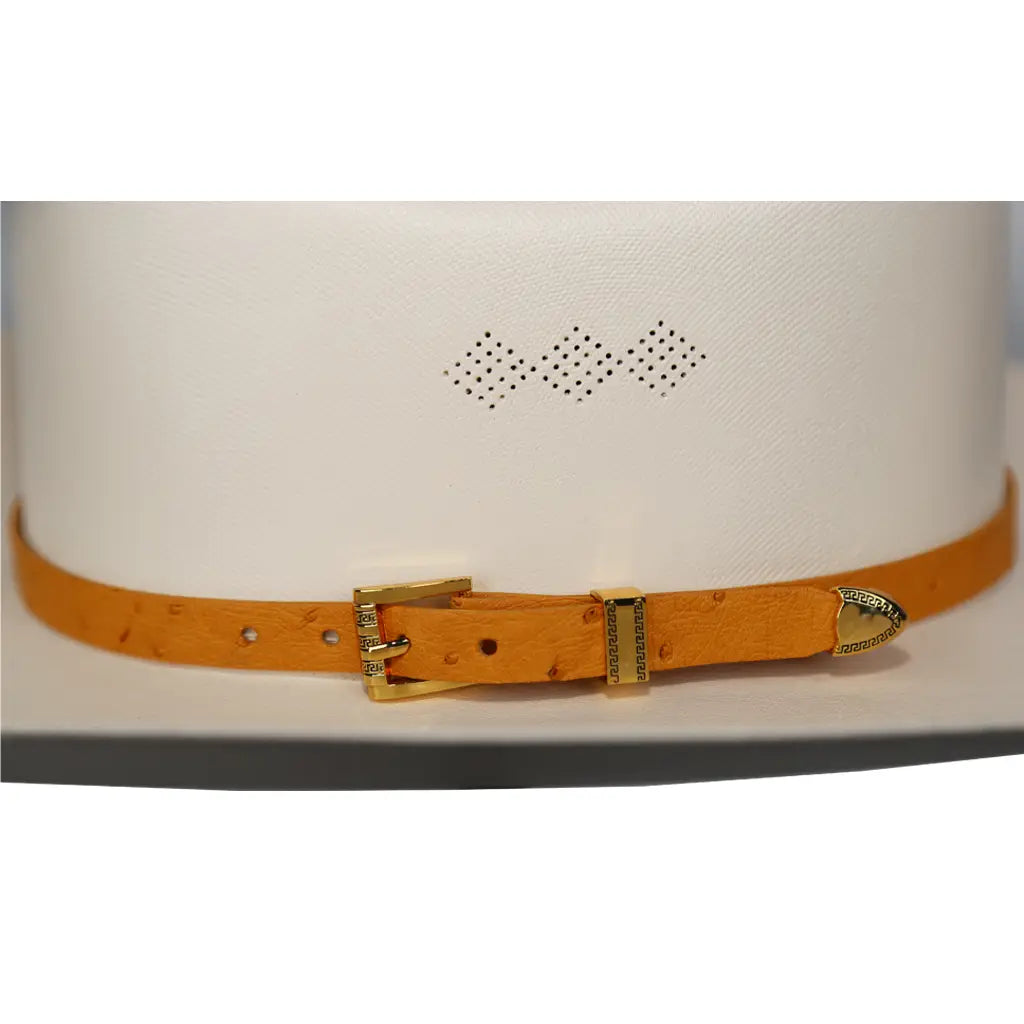 Toquillas Exoticas Avestruz / Hat Band Exotic Ostrich