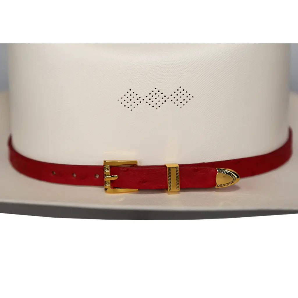 Toquillas Exoticas Avestruz / Hat Band Exotic Ostrich
