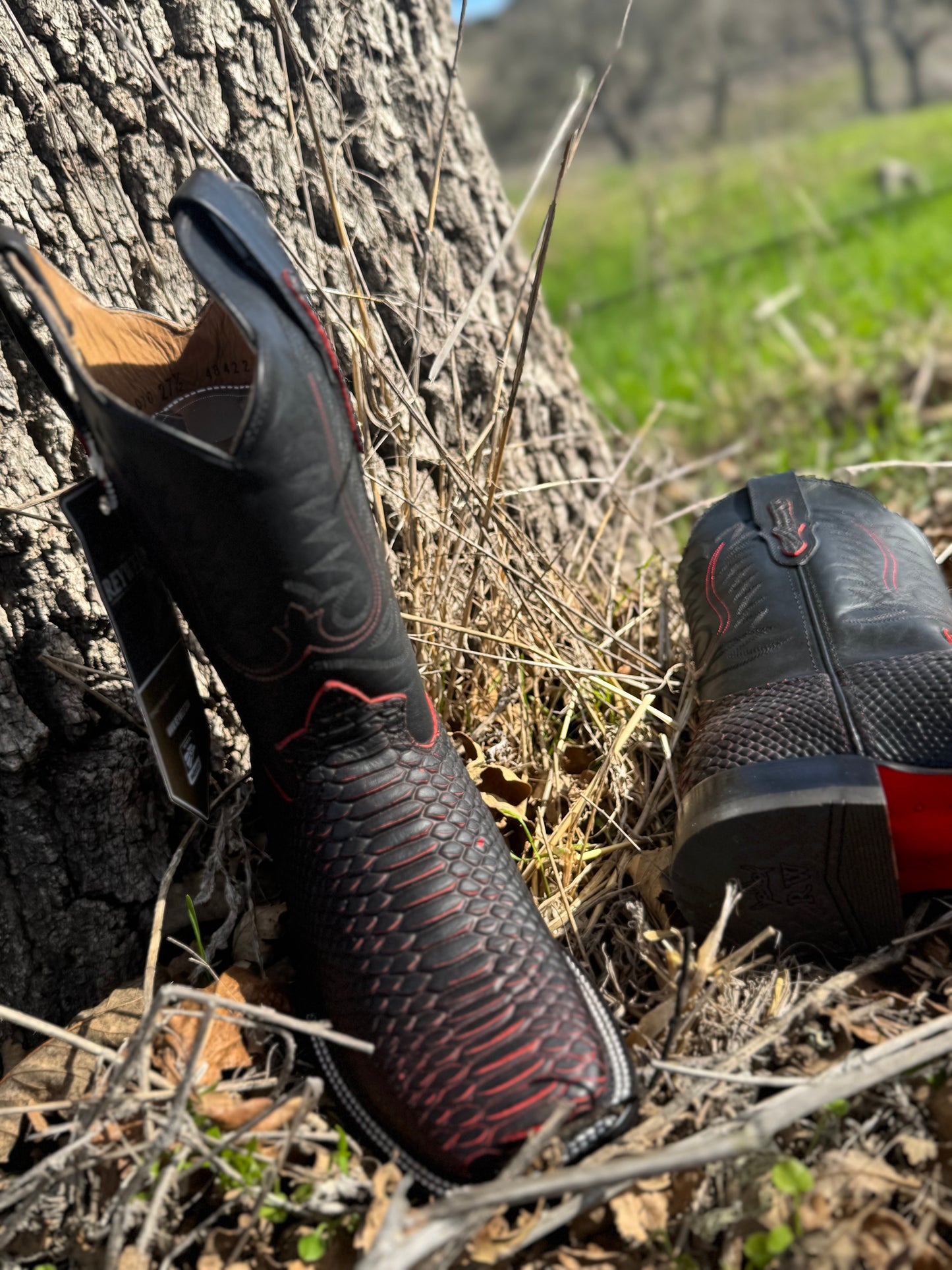 Bota Cuadrada Pithon Negra accento Rojo