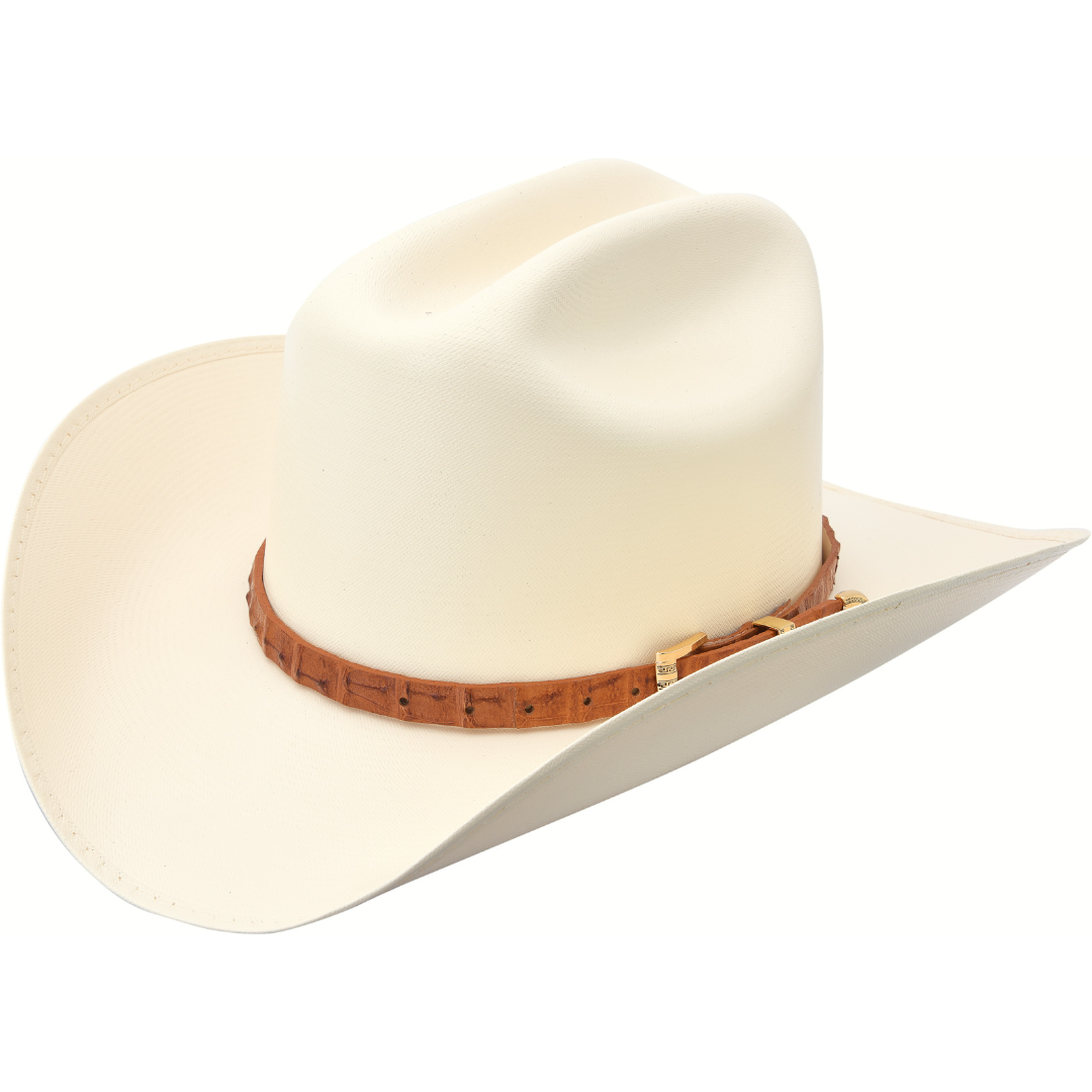 Sombreros stetson deals 10000x