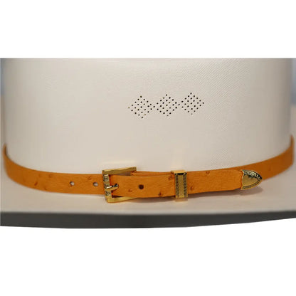 Toquillas Exoticas Avestruz / Hat Band Exotic Ostrich