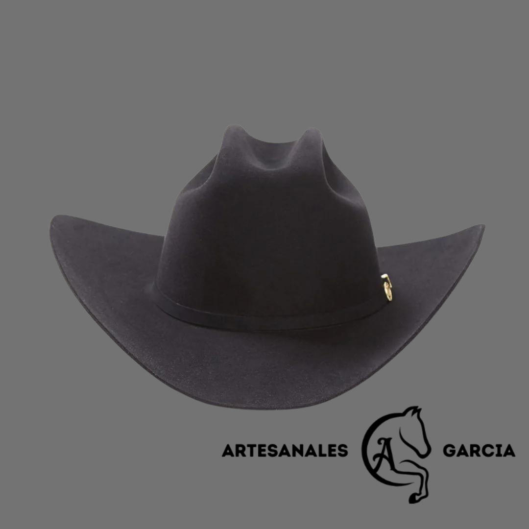 Texana stetson 100x sales